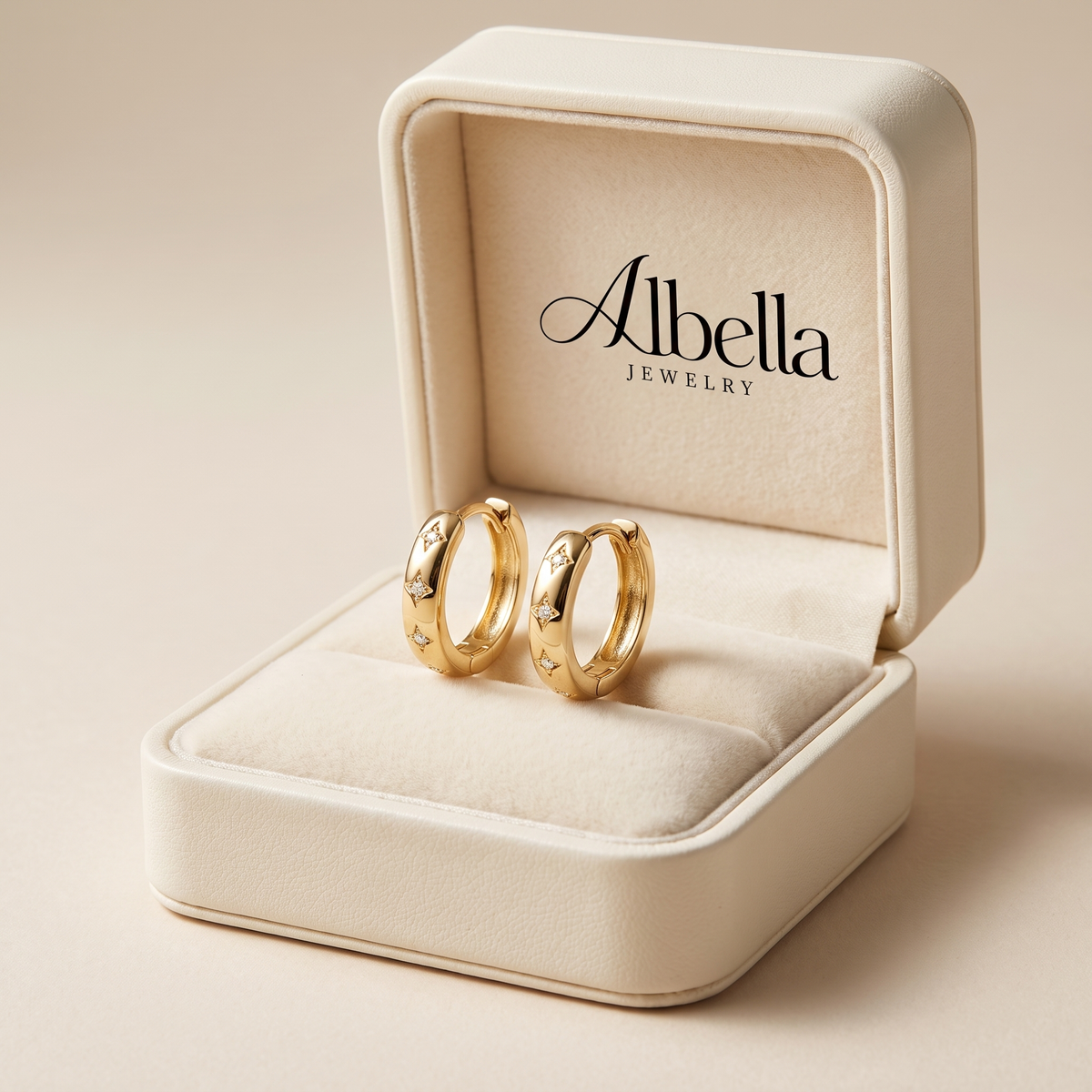 Luxe Gold and Silver Earrings in Albella Jewelry gift box