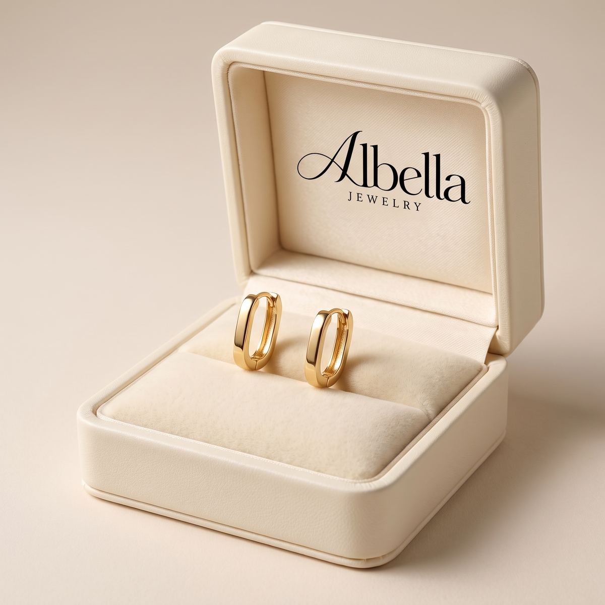 Elegant Geometric Hoop Earrings in Albella Jewelry gift box