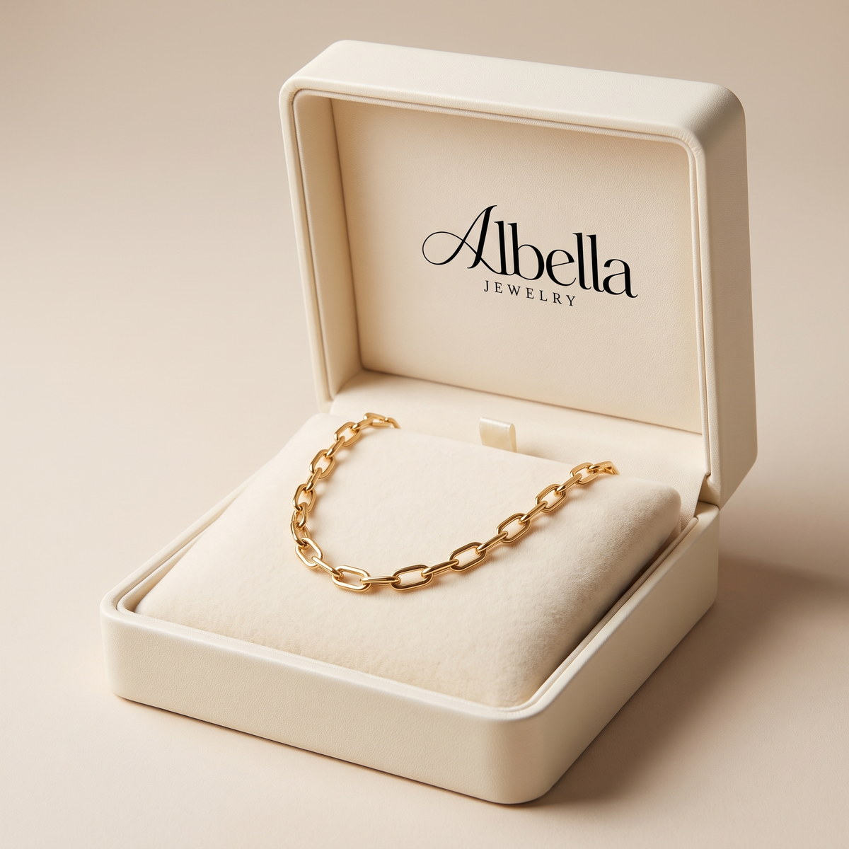 Classic Paperclip Chain Necklace in Albella Jewelry gift box